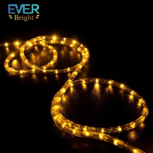 IP67 Silicone Led Neon Flex Light Rope 1cm Cut DC12V 6mm 8mm 80 Neon Lights pour Chambre ROHS Silicone néon bandes