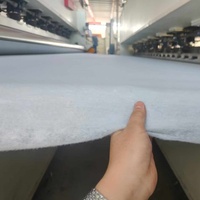 Géotextile à fibres courtes pour les décharges et la protection des pentes