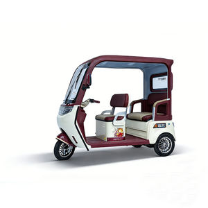 <span class=keywords><strong>Tricycle</strong></span> électrique 60V à bas prix, 650W, pour adultes d'âge moyen et personnes âgées, design élégant, scooter électrique - Product Image 1