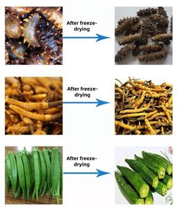 Pequeño liofilizador/liofilizador-Frutas secas de alto valor, liofilizador de hierbas para el hogar Liofilizador de <span class=keywords><strong>8</strong></span> <span class=keywords><strong>kg</strong></span> a la venta Marca NP - Product Image 4