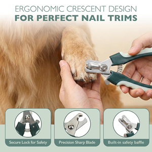 Wholesale Comb <b>Brush</b> Nail Clippers Collapsible Bowl Ttoothbrush Cat Dog <b>Pet</b> Grooming Tools - Product Image 3