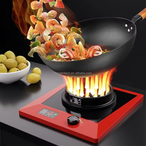 2025 नई तकनीक 1 बर्नर इलेक्ट्रिक लौ स्टोव रसोई उत्पादों के लिए गैस के बिना शुद्ध इलेक्ट्रिक लौ स्टोव रसोई उत्पादों - Product Image 5