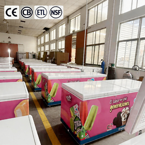 Industrial -28 ° Congelador para Helados C Ice Cream Hardener |   Congelador Comercial NSF ETL |   Almacenamiento a Granel para Fábrica de Lácteos |   Cantidad mínima de pedido 50 - Product Image 1
