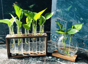 Stazione di Propagazione Piante 2022, Vaso Tubolare in Legno <span class=keywords><strong>da</strong></span> Appendere, Fioriera in Vetro, Supporto per Terrario - Product Image 6