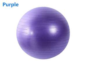 Big Dragon Sports Épaississement PVC Yoga Ball pour Exercice Fitness Gym Workout - Product Image 5