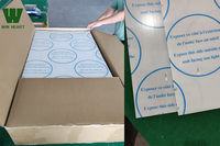 Mini serre de jardin portable en polycarbonate pour fleurs
