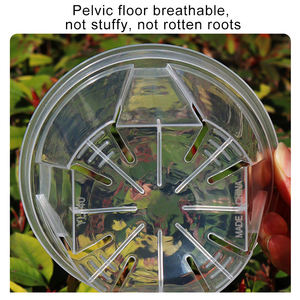 <span class=keywords><strong>Pot</strong></span> <span class=keywords><strong>de</strong></span> contrôle respirant <span class=keywords><strong>Pot</strong></span> <span class=keywords><strong>de</strong></span> fleurs perméable à l'air <span class=keywords><strong>Bonsai</strong></span> Phalaenopsis Pots <span class=keywords><strong>de</strong></span> contrôle <span class=keywords><strong>de</strong></span> croissance des racines pour l'intérieur et l'extérieur - Product Image 6