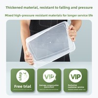 Voedselveilige lunchbox Verdikte transparante plastic luchtdichte koelkastopbergcontainer Draagbare stapelbare antislip fruitbox