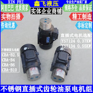 Bomba de Aceite para Engranajes de Acero Inoxidable y Cerámica CBA-B4 B2.5 CBA-B6 CBA-B10 con Motor de Inserción Directa, Bombas Hidráulicas - Product Image 1