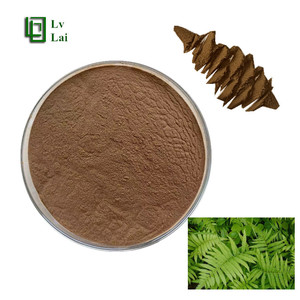 Extracto de Helecho Cola de Fénix en Polvo de Alta Calidad y Alto Contenido 10:1, Polvo Soluble en Agua de Helecho Cola de Fénix, Grado Alimenticio - Product Image 1