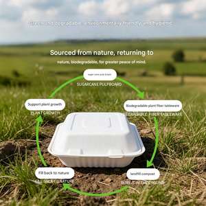 Cajas de Comida Biodegradables de Pulpa de Caña de Azúcar, Ecológicas, Personalizadas al por Mayor, de 500ml y 1000ml, para Llevar - Product Image 4