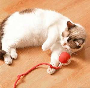 Durable Automatic <b>Cat</b> Dog Pet Toys <b>Cat</b>-chasing Balls Self-Entertainment Devices Stress-Relief Tools Pets - Product Image 1