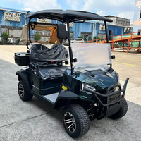 Voiturette de golf électrique professionnelle personnalisée, nouveau style, 2 places, véhicule utilitaire, moteur AC 48V 5Kw, buggy utilitaire, club car