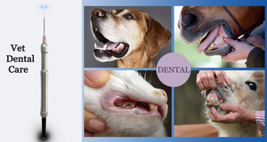 <span class=keywords><strong>Laser</strong></span> chirurgical vétérinaire YUWEI VT101 pour la thérapie de la douleur, 15W/30W, 980nm, classe III, certifié <span class=keywords><strong>CE</strong></span>, équipement de physiothérapie, longue durée de vie - Product Image 5