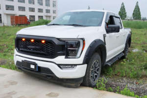 Parrilla Delantera para Automóvil, Rejilla para Parachoques Delantero para <span class=keywords><strong>Ford</strong></span> F150 <span class=keywords><strong>Shelby</strong></span> 2021 2022 2023 con Luces LED - Product Image 5