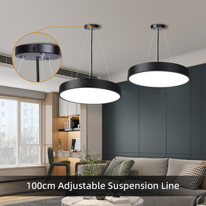 Luces colgantes de techo de <span class=keywords><strong>luz</strong></span> colgante sólida hueca negra de oficina de alta calidad moderna para empresa/lámpara colgante Led/<span class=keywords><strong>luz</strong></span> colgante - Product Image 5