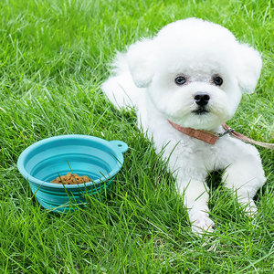 सुविधाजनक फोल्डेबल सिलिकॉन कुत्ते कटोरे ढहने योग्य पालतू पालतू यात्रा कटोरे - Product Image 4