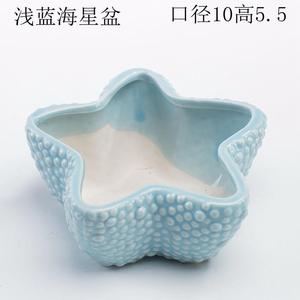 Ocean-Themed <b>Small</b> Succulent Flower <b>Pot</b> Cute Cartoon Whale Shell Tabletop Vase with Glaze Art Deco Design for Succulent Plants - Product Image 5