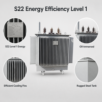 Transformateur de puissance triphasé immergé dans l'huile S22 12,47 kV à bobinages multiples pour distribution électrique 50 Hz 60 Hz