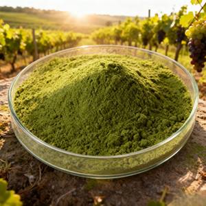 YIDA Biotech - Trichoderma Longibrachiatum en Polvo Verde Oscuro de Alta Viabilidad, 10 Mil Millones de UFC/g, Probióticos Biológicos Orgánicos, Ácido Húmico - Product Image 2