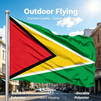 Drapeau de la Guyane : Produits personnalisés, bannière drapeau d'extérieur économique, 100% polyester, drapeau national de la Guyane, approvisionnement en gros
