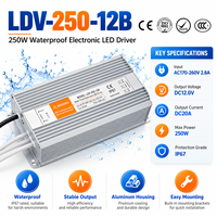 Alimentation LED étanche 250W 12V 20.8A IP67, adaptateur de commutation scellé LDV-250 pour éclairage paysager et signalétique dynamique