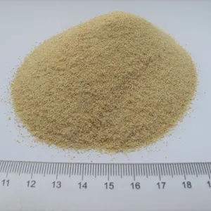 Fornitura di fabbrica granuli di aglio disidratato aglio essiccato di alta qualità buon prezzo