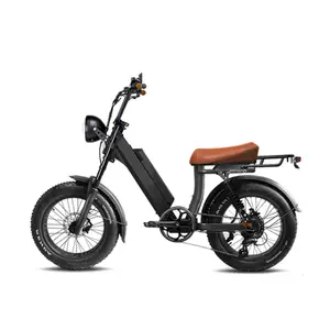 China Hersteller Elektro Moped Fett Reifen Fahrrad 20 Zoll 48v 500 Chopper Cruiser E-Bike zwei Sitze Mountainbike