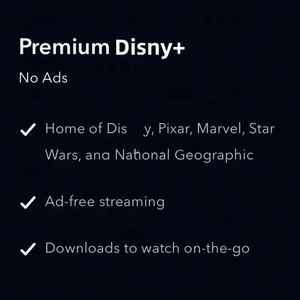 Compte Premium Dix Ney Plus, streaming illimité de films, séries télévisées, animés en 4K, stable, fonctionne dans le monde entier, clé TV européenne - Product Image 4