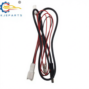 Araba için otomatik 2Pin erkek dişi adaptör özelleştirilmiş uzatma kablosu komple kablo demeti - Product Image 1