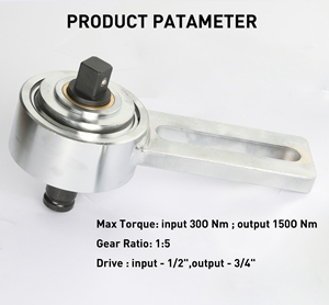 Juego de multiplicador de par Ford Ecoboost para motores de gasolina Ford Ecoboost y 1,1 con caja de molde de soplado EVA - Product Image 5