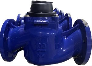 中国メーカー取り外し可能な鋳鉄ボディヘッドバルク灌漑水道メーターOEM用2 "から<span class=keywords><strong>12</strong></span>" ウォルトマン水道メーター - Product Image 2