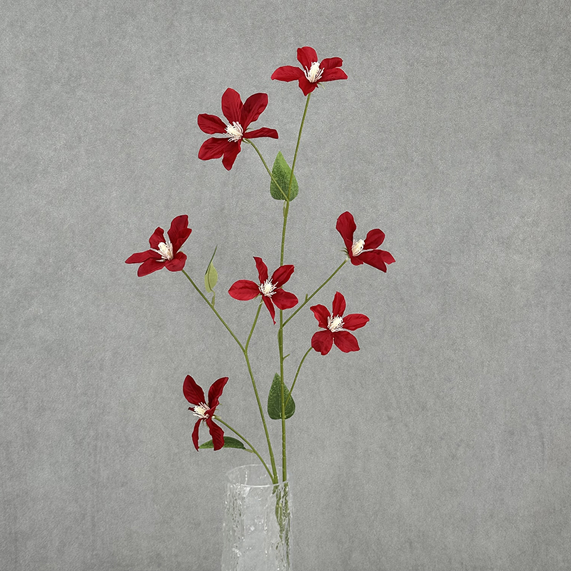 Rojo