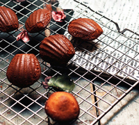 Chinesische Rote Serie 12-Fach Muschelförmige Madeleine-Backform, Antihaft-Kuchenform aus Karbonstahl