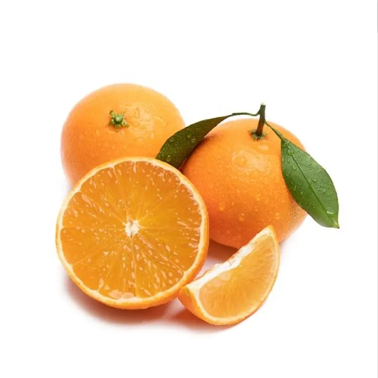 Prix mandarine fraîche chinoise de haute qualité Ventes directes d'usine Orange fraîche