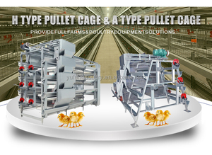 ספק מכירה ישירה של פולט שכבת ביצה עוף כלוב תרנגול כלוב עבור תינוק הנחת עוף תרנגולת - Product Image 6