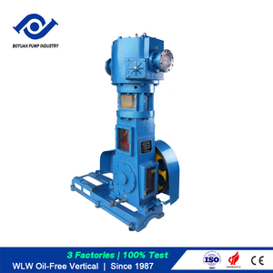 Bomba de Vacío de Pistón Recíproco Serie WLW de Alta Presión y Sin Aceite, de Bajo Consumo y Bajo Ruido, Marca BOYUAN OEM - Product Image 4