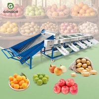 Wasmachine voor fruit, sorteerder, 5 ton/uur, automatische dadelreiniger, papaya-cup sorteerder, palmformaat en groentesorteerder voor ballen.