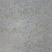 Grande dalle de quartzite iceberg cristallin naturel poli pour plan de travail de cuisine, meuble-lavabo de salle de bain, revêtement mural et revêtement de sol