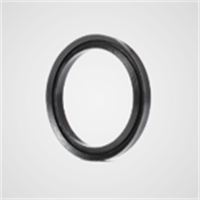 Coreseal Precision High Pressure Alloy Steel End Cap Seal Ring Pressure Ring Assembly for Pump End Cover Oil Gas/Fracturing