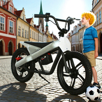 Nouveau modèle 2026 Vélo électrique 48V pour enfants, pneu 16 pouces, vélo électrique urbain à assistance électrique, étanche IP54, 3 vitesses, autonomie 25 km, fabriqué en Chine