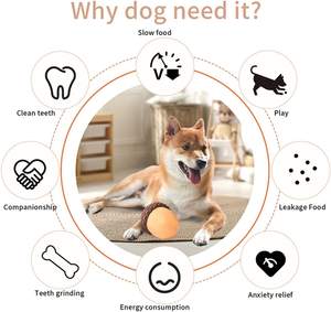 Acorn fındık anksiyete azaltır Wobble özel doldurulabilir Pet tutucu zenginleştirme dondurulmuş tedavi köpek oyuncak meşgul tutmak için - Product Image 2