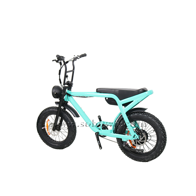 New Fashion Dual Battery Style Super Ebike 73 Super Electric Cycle Bike