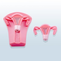 Kit de formation pour la pose et le retrait d'un dispositif intra-utérin, ressources pédagogiques, simulateur de formation en obstétrique et gynécologie