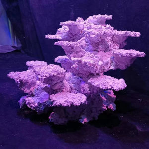 Custom Made 60Cm Aquarium Aquarium Decoratie Aquascaping Stone <span class=keywords><strong>Rock</strong></span> Voor Verkoop - Product Image 3