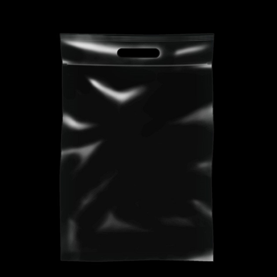 โปร่งใส