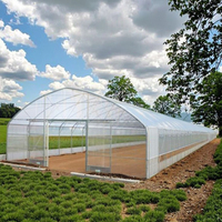 Serre à simple portée, hydroponie, petit tunnel/conception en arceau, couverture en film plastique, cadre en acier galvanisé, PE agricole multi-portée