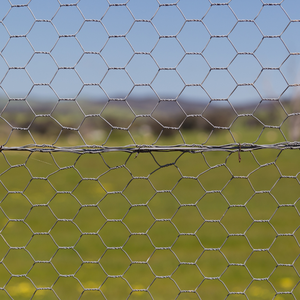 Người Bán Hàng đầu 2M chiều cao dễ dàng lắp ráp lưới sắt hình lục giác mạ kẽm để kiểm soát lũ hoặc lưới gà - Product Image 6