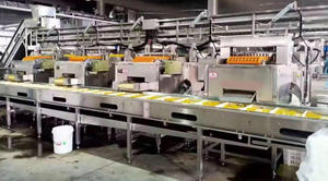 Machine de dénoyautage automatique professionnelle de vente chaude Machine de dénoyautage de dénoyautage de noyau d'olive Machine de retrait de pierre de fruit - Product Image 2