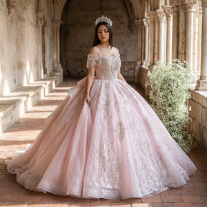 Robes de soirée modernes rose princesse, robes de bal formelles en organza rose avec appliques en dentelle, dos nu, longueur ras du sol, pour Quinceañera - Product Image 1